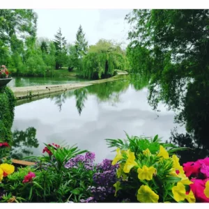 Eaux et fleurs