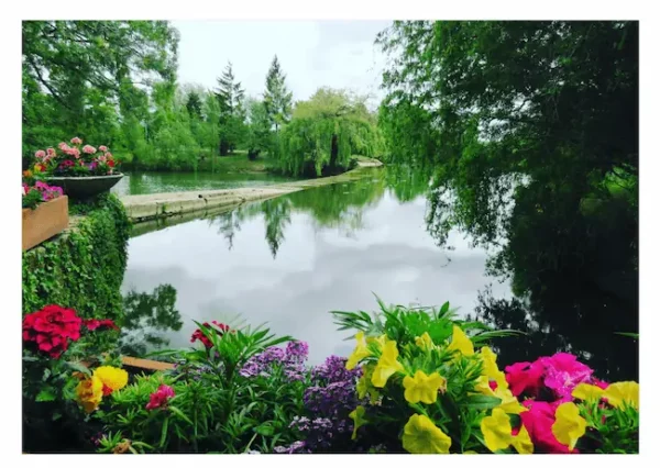 Eaux et fleurs