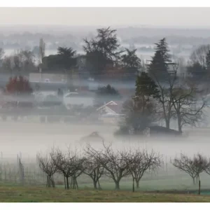 Paysage de brumes