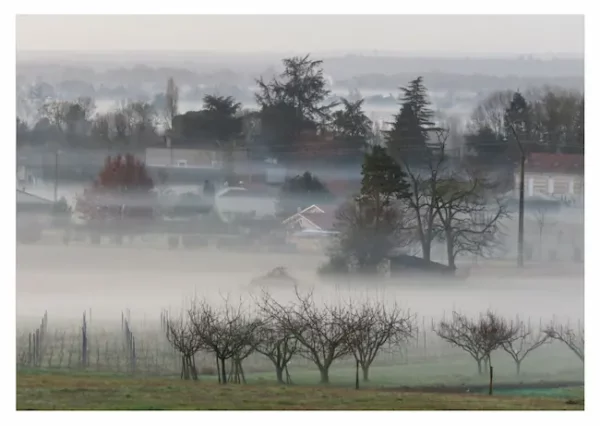 Paysage de brumes