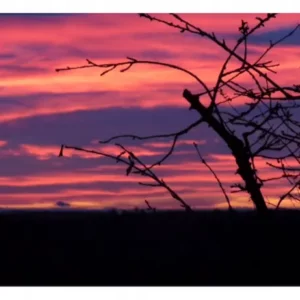 Crépuscule nuages rouges